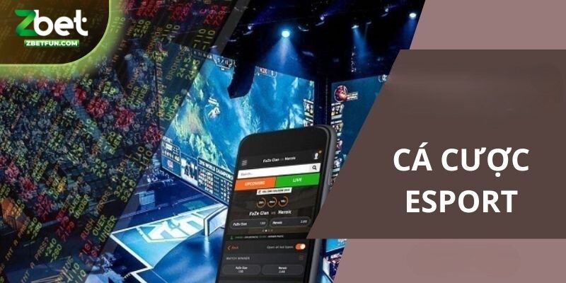 Esport Zbet mang đến sự trải nghiệm thích thú cho hội viên